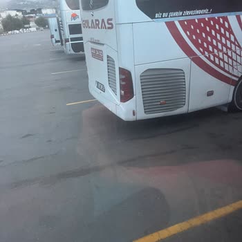 Gülaras İle Fethiye–Tarsus Yolculuğunda Gecikme, Hizmet Sorunları Ve Valiz Hasarı