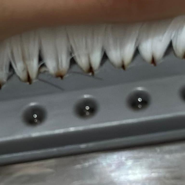 Parex Wondero Fırça Paslanması Ve Yedek Parça Sorunu Yaşadım