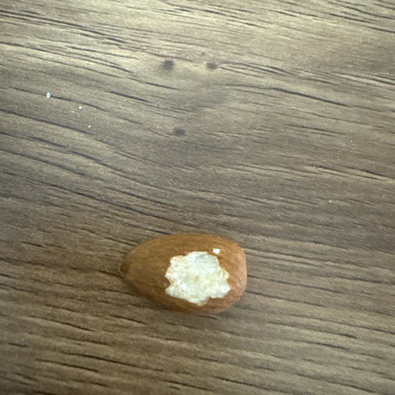 Aldığım Çiğ Badem Paketinde Kemirilmiş Ürünle Karşılaştım, Güvenim Sarsıldı