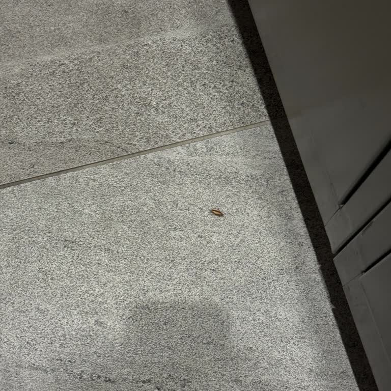 Mac One Zorlu Şubesinde Hijyen Ve İletişim Sorunları