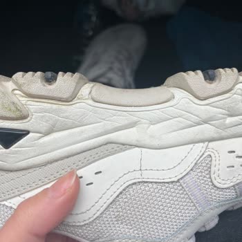 Skechers D-Lites Ayakkabıda Erken Yıpranma Ve Garanti Sorunu