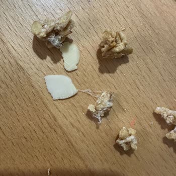 Satın Aldığım Granola Paketinde Örümcek Ağı Çıktı, Ücret İadesi Talep Ediyorum