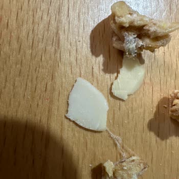 Satın Aldığım Granola Paketinde Örümcek Ağı Çıktı, Ücret İadesi Talep Ediyorum