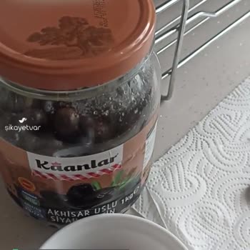 Kaanlar Zeytin Kurtlu Çıktı