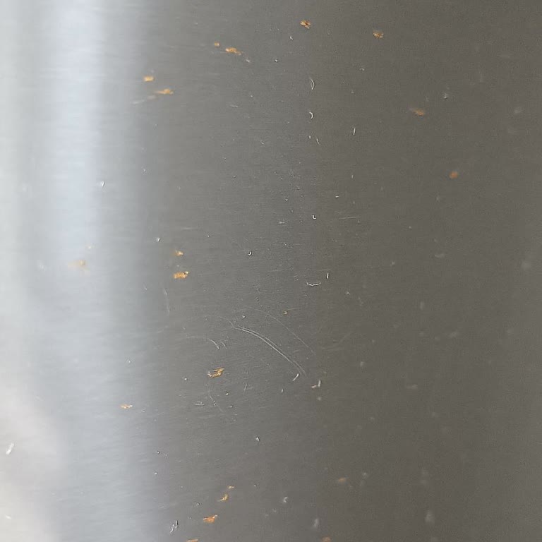 Buzdolabında Garanti Sonrası Tekrar Eden Boya Dökülmesi Sorunu