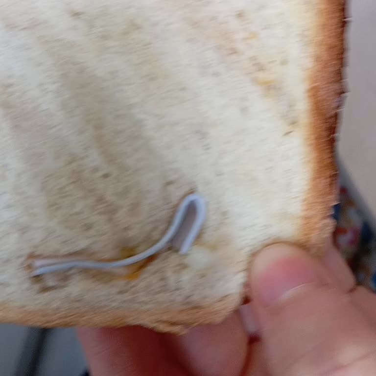 Tost Ekmeğinde Yabancı Madde Şoku: Hijyen Ve Sağlık Endişesi