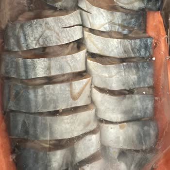 Geciken Kargo Nedeniyle Bozulmuş Balık Ve İletişimsizlik Mağduriyeti