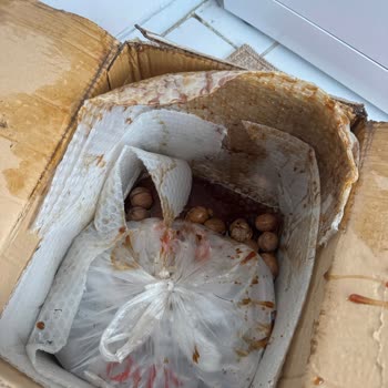 Kargoda Kırılan Pekmez Nedeniyle Ücret İadesi Talebim Var