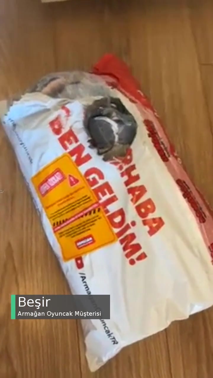 Armağan Oyuncak Eksik Ürün Gönderdi! videonun kapak resmi