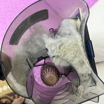 Beklentileri Karşılamayan Halı Temizliği Ve İlgisiz Müşteri Hizmeti