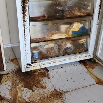 Beko Buzdolabında Fan Arızası Ve Kalıcı Koku Sorunu Sonrası Değişim Talebimizin Reddedilmesi