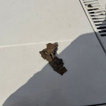 Muayene Tekrarında Haksız Harç Kesintisi Ve İade Talebim