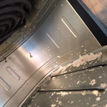 Philips Airfryer'da Paslanma Ve Buhar Sorunu