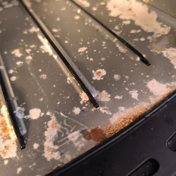 Philips Airfryer'da Paslanma Ve Buhar Sorunu