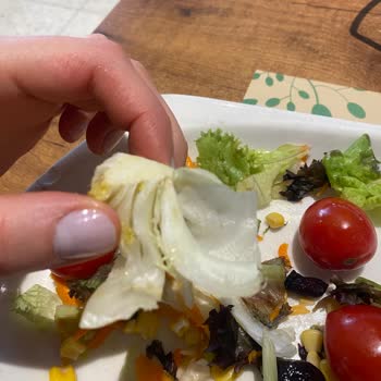 Soğuk Yemekler Ve Düzensiz Hizmet: Tavuk Dünyası Hayal Kırıklığı