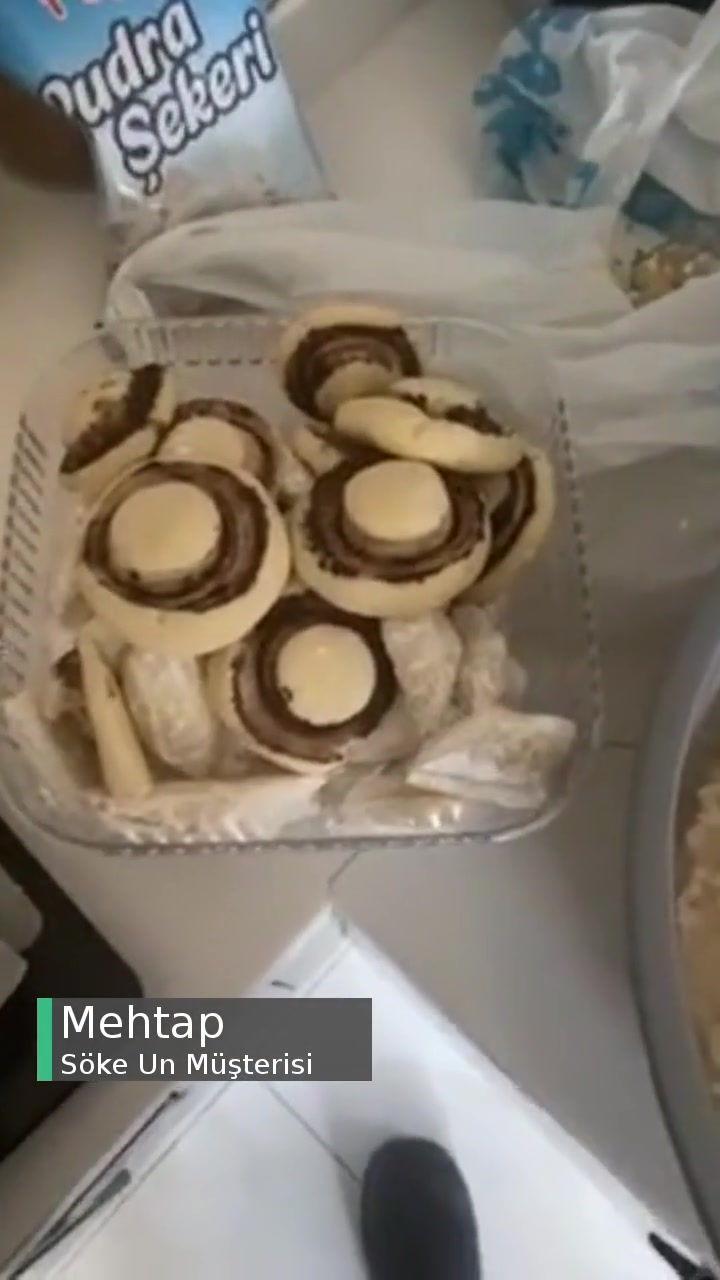 Yeni Açılan Söke Unun Kötü Kokusu Var! videonun kapak resmi