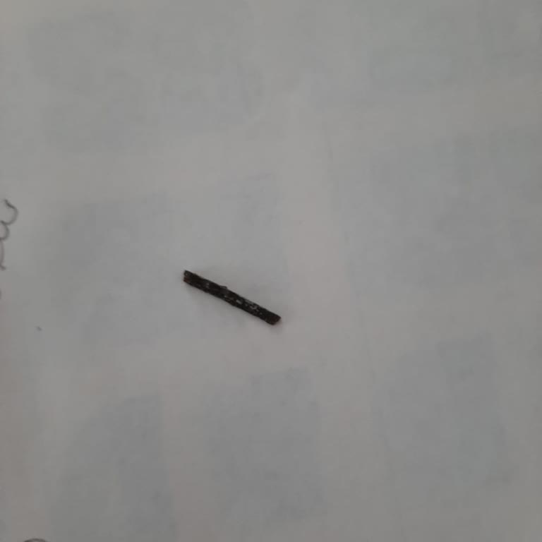 Vestel Stand Mikserin Arızası Ve Yedek Parça Sorunu Nedeniyle Yaşanan Mağduriyet