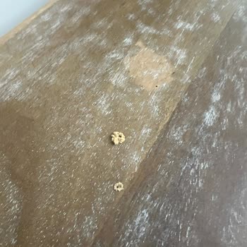 Kusurlu Ürün, İlgisiz Müşteri Hizmeti Ve Ekstra Masraflar: Kervan Mobilya Hayal Kırıklığı