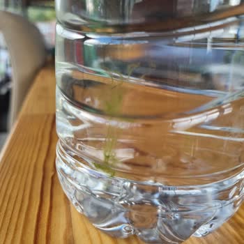 Aldığım Suda Yosun Oluştu, Sağlığım Ve Güvenim Sarsıldı