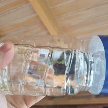 Satın Aldığım Suda Yosun Oluşumu Ve Sağlık Endişesi