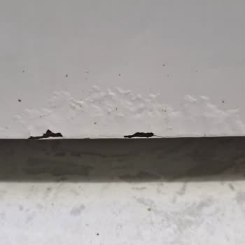 Siemens Buzdolabında Garanti Sonrası Kapak Boya Atması Ve Paslanma Sorunu