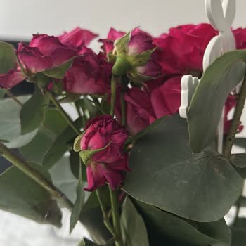 Çiçek Sepeti Siparişimde Gelen Çiçek Solmuş Ve Kurumuş Şekilde Teslim Edildi