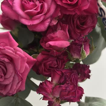 Çiçek Sepeti Siparişimde Gelen Çiçek Solmuş Ve Kurumuş Şekilde Teslim Edildi