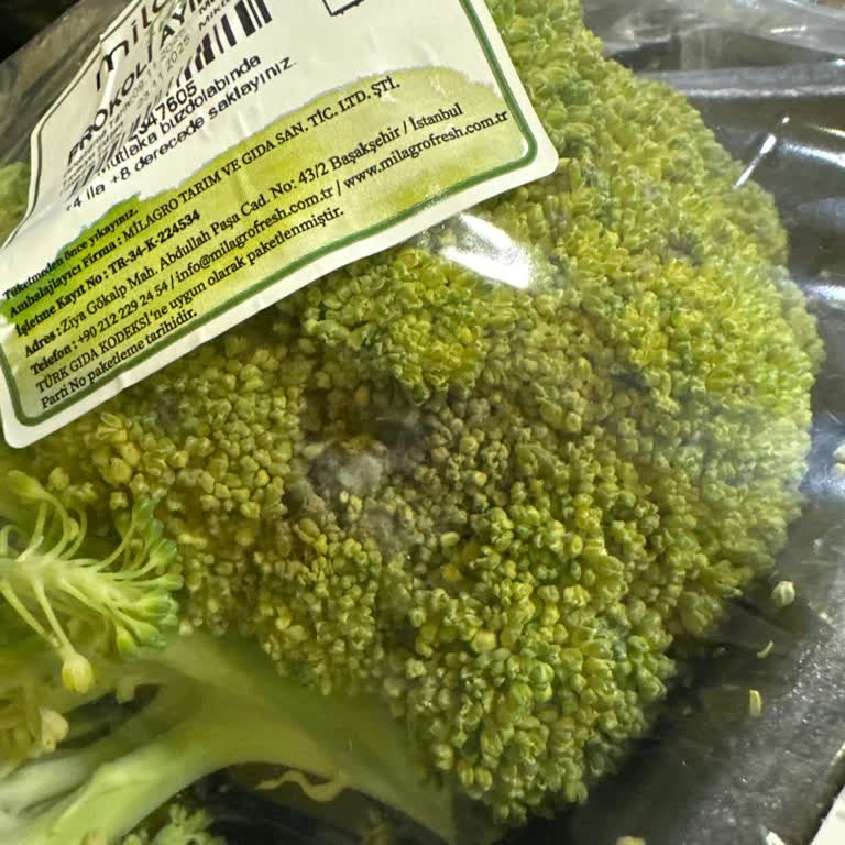 Küflü Brokoli Ve Yetersiz Çözüm: Mağduriyetimin Giderilmesini Talep Ediyorum