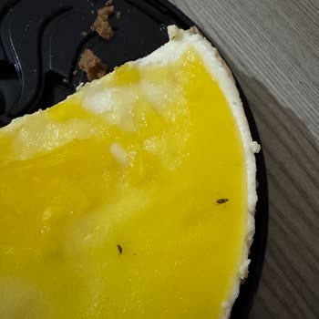 Aldığım Cheesecake'in İçinden Böcek Çıktı, Geri Dönüş Bekliyorum