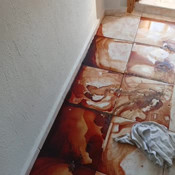 Siemens Derin Dondurucu Arızası Ve Servis Memnuniyetsizliği