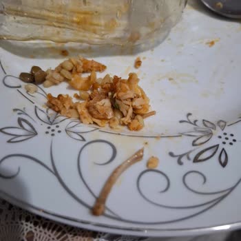 Dondurulmuş Tavuk Dönerde Kemik Parçası Dişimi Kırıyordu