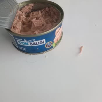 Derya Ton Balığı Ton Balığında Çıkan Büyük Kılçık Sağlığımı Tehlikeye Attı