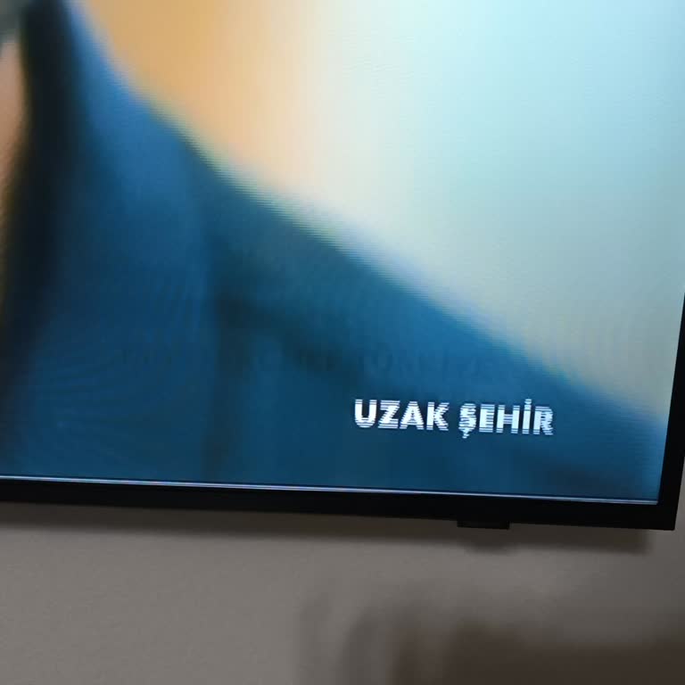 45 Günlük Samsung Televizyonda Ekran Kararması Ve Değişim Talebi