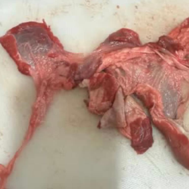 Sinirli Ve Sert Et, İade Talebime Cevap Verilmedi