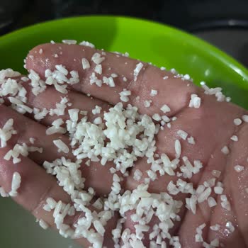 Yeni Alınan Yayla Baldo Pirinçte Beklenmedik Ufalanma Ve Dağılma Sorunu