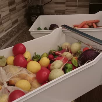 Buzdolabım Bir Aydır Arızalı, Mağduriyetim Giderilmiyor