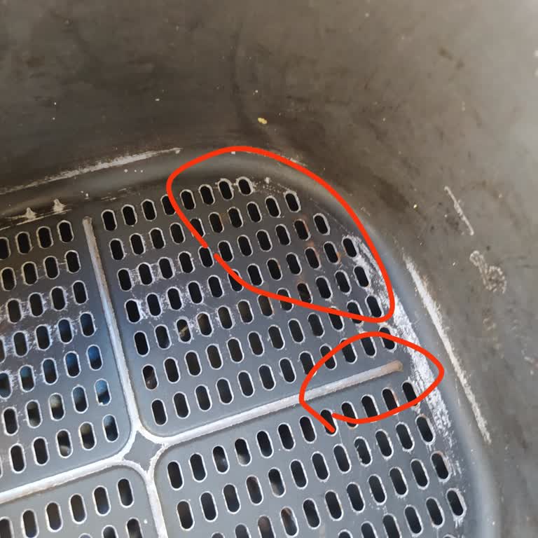 Philips Airfryer'da Küflenme Ve Yetersiz Müşteri Desteği