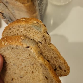 UNO Ekmeklerinde Süregelen Küf Ve Koku Problemleri: Acil Kalite Kontrol Gerekiyor