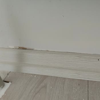 Eksik Ve Sorunlu Boya Hizmeti, Kayıp Eşyalar: Güven Sarsıldı