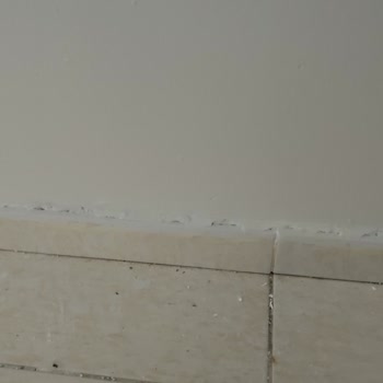 Eksik Ve Sorunlu Boya Hizmeti, Kayıp Eşyalar: Güven Sarsıldı