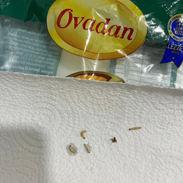 Paketli Pirinçten Kurt Çıkması: Güven Sarsıcı Bir Deneyim