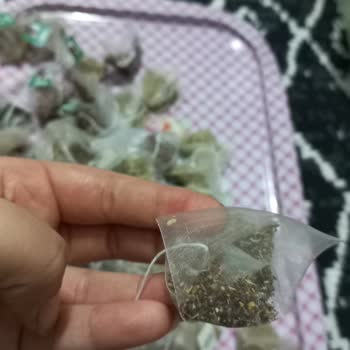 Çayların İçinde Kurt Var