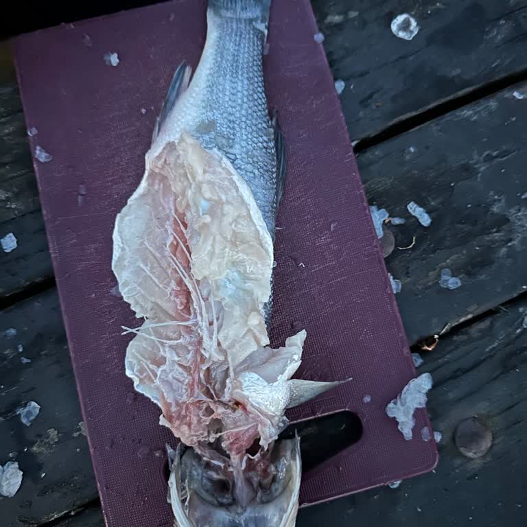 Bozuk Balık Satışı Sonrası İade Ve Geri Dönüş Yapılmaması