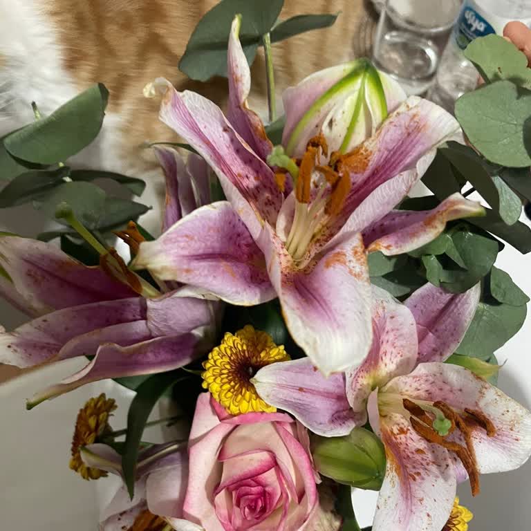 Sipariş Edilen Çiçek İle Teslim Edilen Ürün Arasındaki Farklılık Ve Eksikler