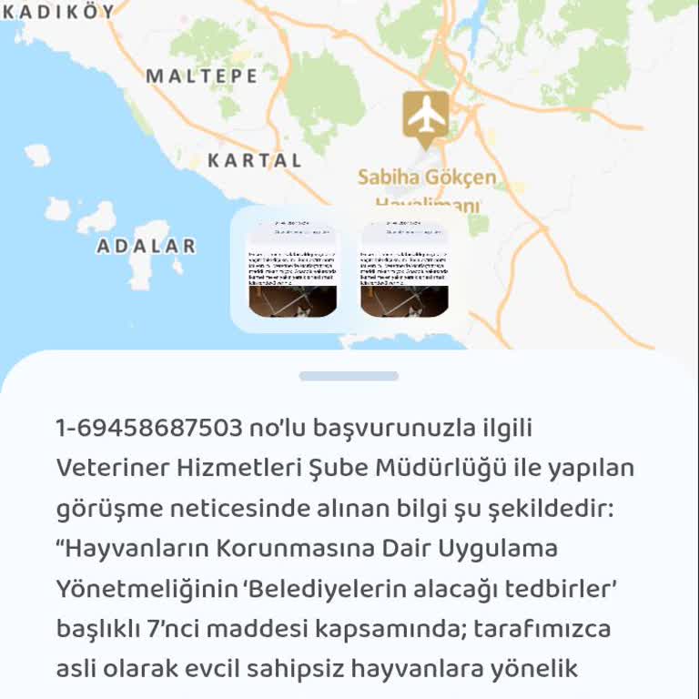 İstanbul Büyükşehir Belediyesi Sahipli Kedilere Ücretsiz Kısırlaştırma Desteği Bekliyorum
