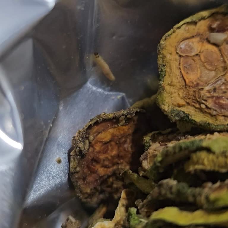 Macrocenter Kurtlanmış Kabak Cipsi Ve İlgisiz Müşteri Hizmeti!