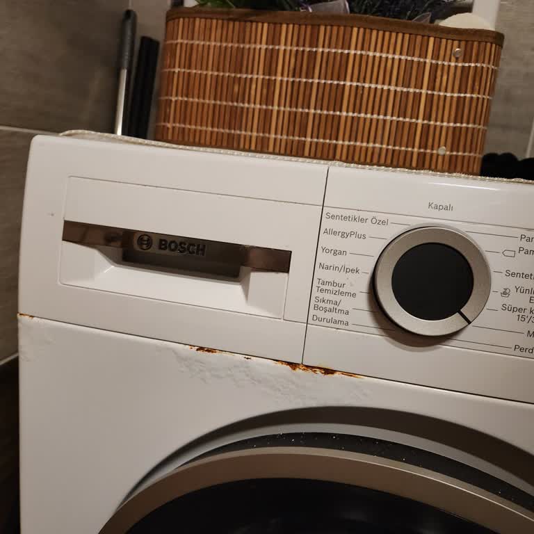 Bosch Çamaşır Makinesinde Kısa Sürede Oluşan Paslanma Endişesi