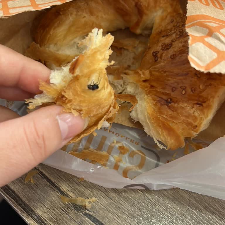 Aldığım Açmanın İçinden Böcek Çıktı Hijyen Konusunda Endişeliyim