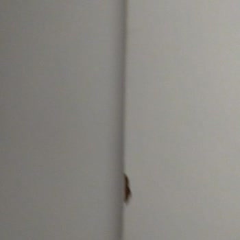 Yanlış Montaj, Hasarlı Dolap Ve Saygısız Hizmet Deneyimi