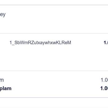 Satın Aldığım Oyun Kodları Teslim Edilmedi İletişim Kuramıyorum
